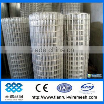 Galvanized welded wire mesh for India Market