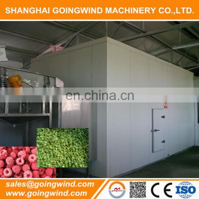 Automatic berries freezing tunnel fruit and vegetable IQF tunnel freezer equipment good price for sale