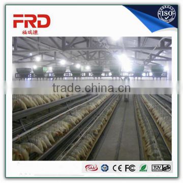 Shandong trade assurance poultry farming equipment automatic chicken layer cage for sale in philippines