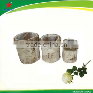 birch bark cylindrical pot for plant