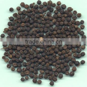 Black Pepper 500 Gr/L; 550 Gr/L