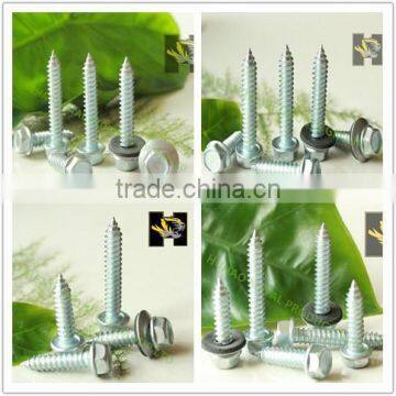 C1022 Gal hex flange head self tapping screw