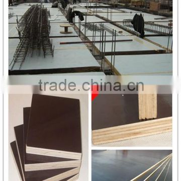black film faced plywood for construction, shutterply