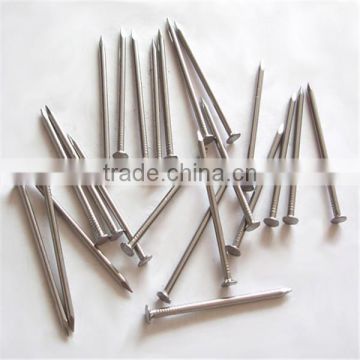 China Manufacturers supply of common nails polished for wood