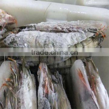 frozen price of shrimp