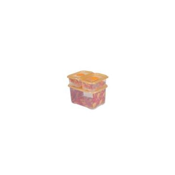 Plastic Food Container from China