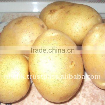 Fresh Potato from Pakistan