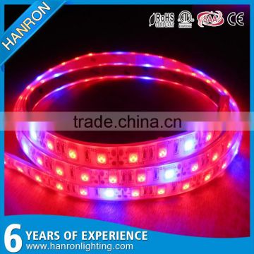 Shenzhen Factory Best Blue Full Spectrum LED Grow Lights
