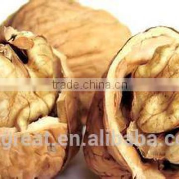 New Crop Bulk Walnut in Thin Shell for Sales