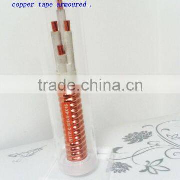 0.6/1kv copper conductor maineral insulated copper tape armoured fireproof cable