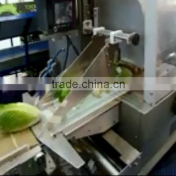Automatic Pillow frozen vegetable packing machine for swithland market