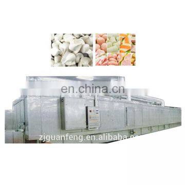 tunnel freezer made in china/meat freezer iqf freezer