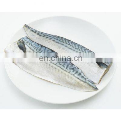 Good price IQF frozen pacific mackerel fish fillet