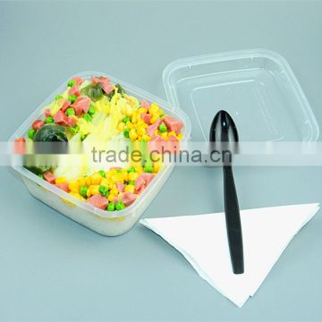 Disposable Square PP Plastic Takeaway Food container