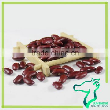 Good Quality Dark Red Kidney Bean 200-220Pcs/100G