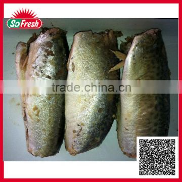 Supply Canned fish manufacture Canned food best jack mackerel with salt added