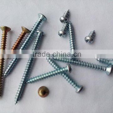5.5x25 Zinc plated self tapping screw
