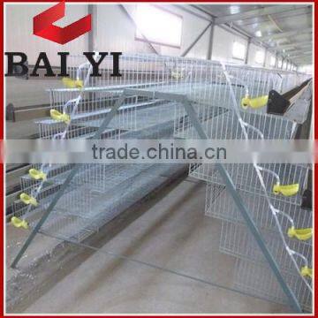 H type Quail Cage Factory Best Price