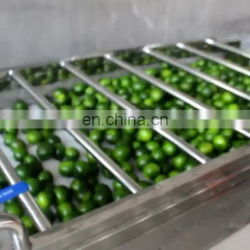 Stainless steel Potato tomato sorter/Stem Vegetable sorting machine/ fruit grading machine