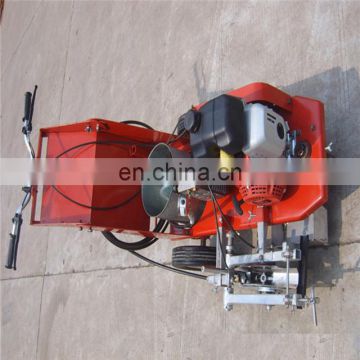 Cold Road Marking Airless Painting Paint Spraying Machine