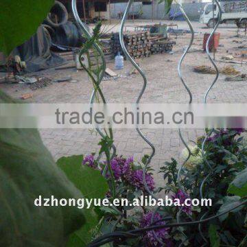 electro galvanized tomato spirals plant support