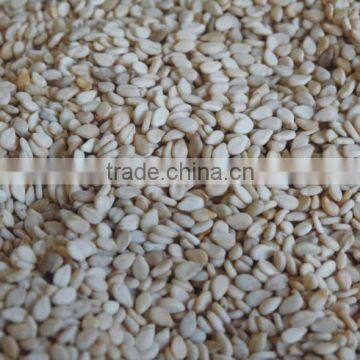 Natural Sesame Seeds