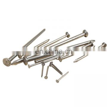 Factory Professional Galvanized Steel Nails For Furniture