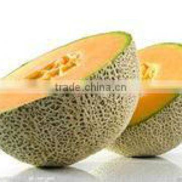 R-N beauty Planting hybrid sweet melon seeds