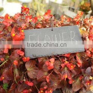 2016 Newest design garden creative tag with iron wire support natural stone slate plant label