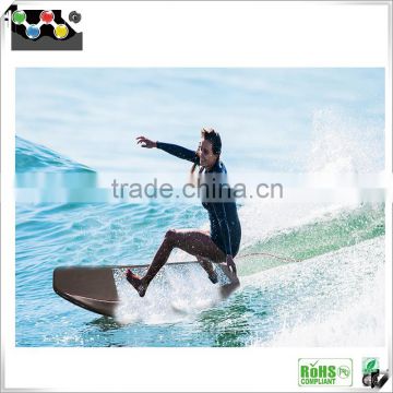 China Golden supplier,Wally Gadgets 2016 Popular Electrical surfboard /Factory jet surf power board with High quality !