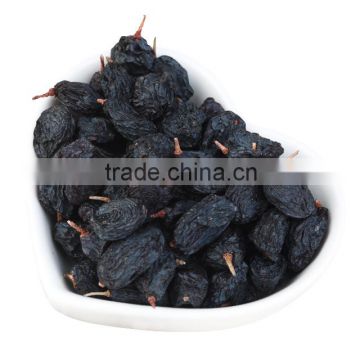 supplier fruit product black raisin dried grapes