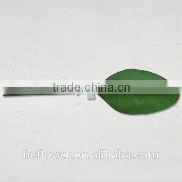 Guangdong wholesale bulk cheap plant foliage