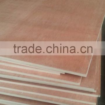 China 18mm bintangor plywood factory for sale