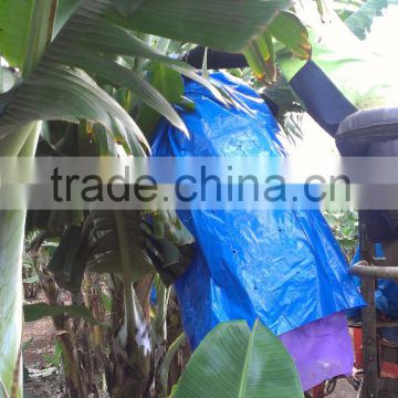 Plantain and Banana Plant Covers