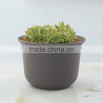 Mini potted succulent plant decorative plastic plant pots