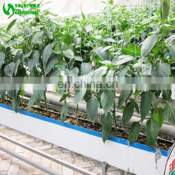 Low Price Agricultural Greenhouse Tube Hydroponic Growing Systems