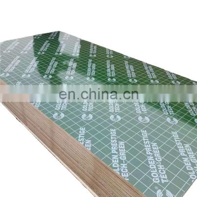 PP Green Film Best Quality  Plywood With Competitive price  In Liaocheng Chengxin Wood
