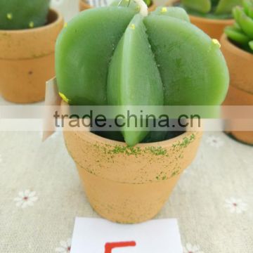 New arrival plant shaped wax candle