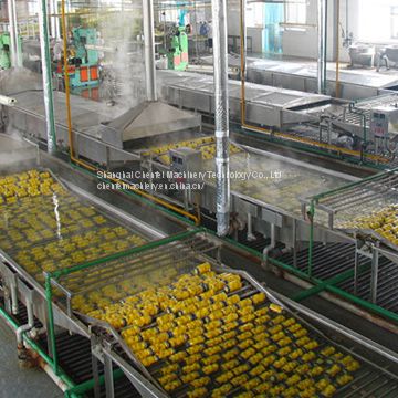 Canned fruit processing line