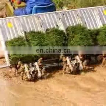 paddy field 4 Rows Rice Transplanter for Normal Row distance