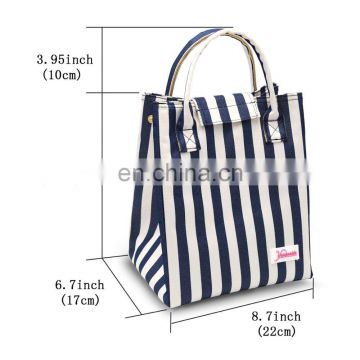 Eco Friendly Reusable Thermal Foldable Lunch Bag Best Christmas Gift, Lunch Cooler Bag for Women/Men (Blue Stripes)