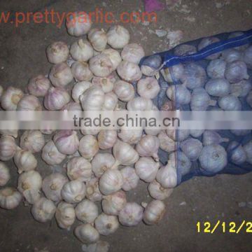 Jiangsu Garlic From China/Canada Garlic