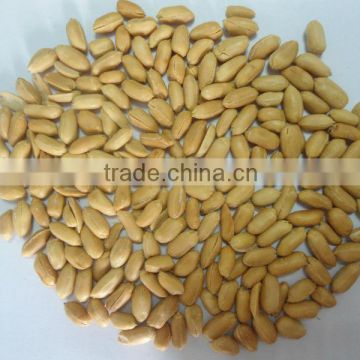 best shandong canned fried peanuts for sale