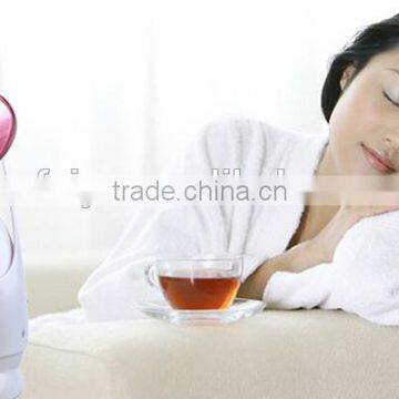 factory manufactured hot sale mini Facial and head steamer