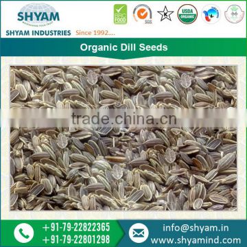 Company Affiliated Purity Standard and Cleaned Organic Dill Seeds for Sale