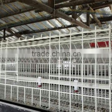 cage equipment for broilers growing
