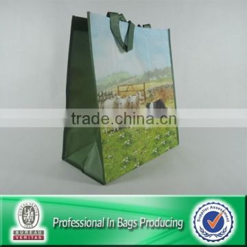 Custom Cheap Reusable Non Woven Cloth Carrying Bag Shopping Bag