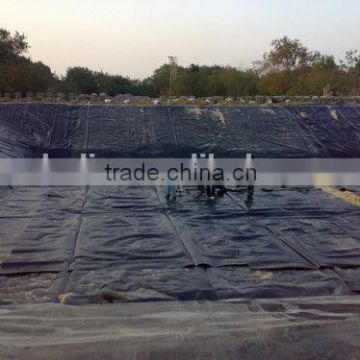 China Top fish farm pond liner HDPE geomembrane