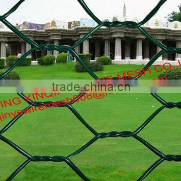 pvc coated chicken woven wire netting