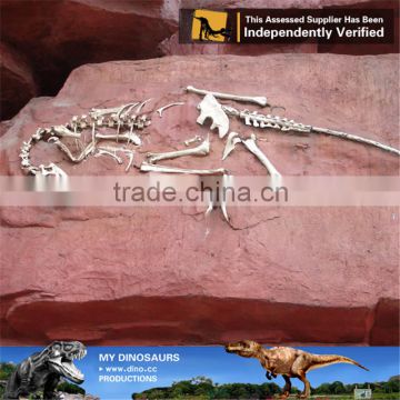 MY Dino-C092 Simulation Dinosaur Fossil Specimens for sale